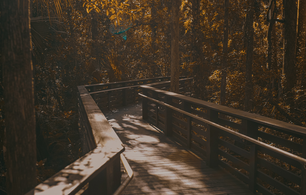 Riverbend Park in Jupiter, FL. Photo credit: Daniel Fortune